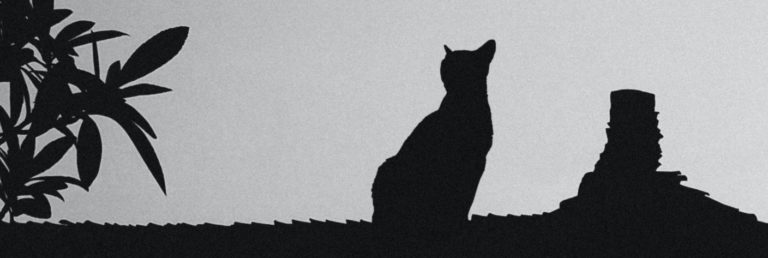 silhouette of cat sitting on roof under tree